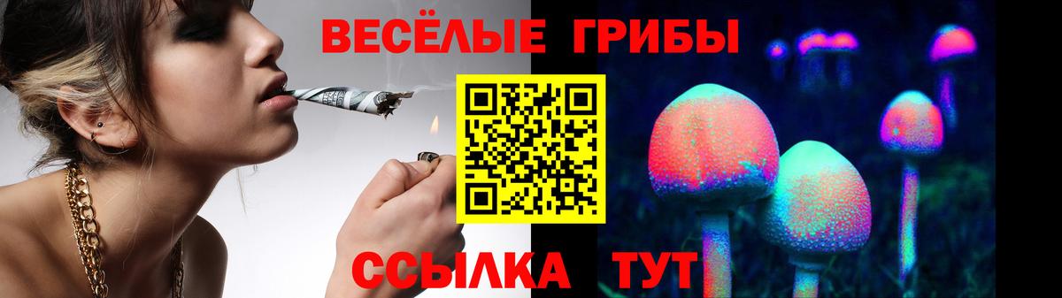 Псилоцибиновые грибы GOLDEN TEACHER  Галлюциногенные грибы MAGIC MUSHROOMS  Вход с VPN  Арсеньев 
